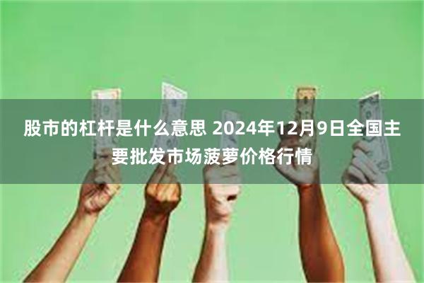 股市的杠杆是什么意思 2024年12月9日全国主要批发市场菠萝价格行情