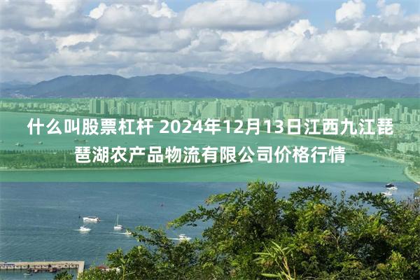 什么叫股票杠杆 2024年12月13日江西九江琵琶湖农产品物流有限公司价格行情