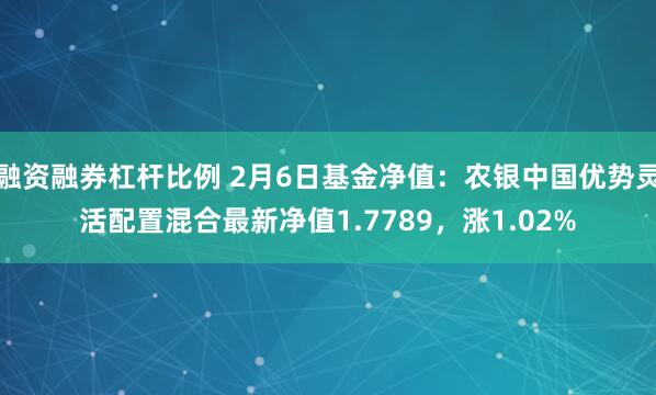 融资融券杠杆比例 2月6日基金净值：农银中国优势灵活配置混合最新净值1.7789，涨1.02%