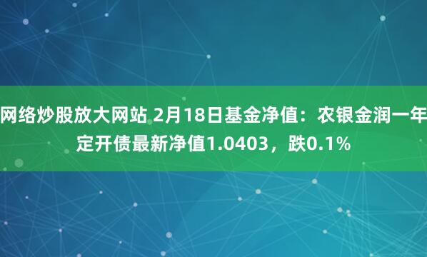 网络炒股放大网站 2月18日基金净值：农银金润一年定开债最新净值1.0403，跌0.1%