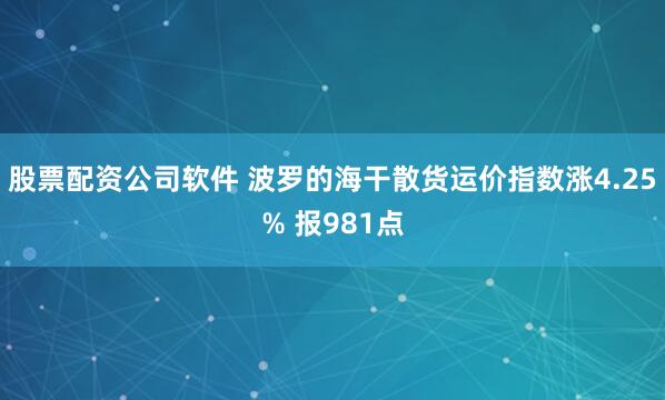 股票配资公司软件 波罗的海干散货运价指数涨4.25% 报981点